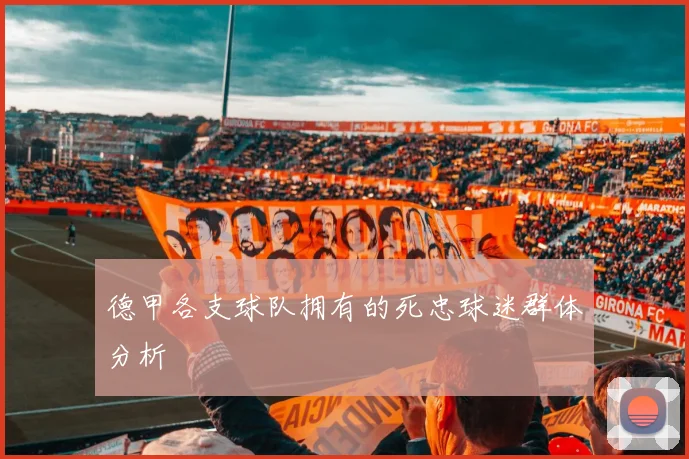 德甲各支球队拥有的死忠球迷群体分析